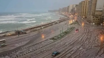 درجات حرارة الإسكندرية اليوم الأربعاء وتفاصيل الطقس المتوقعة
